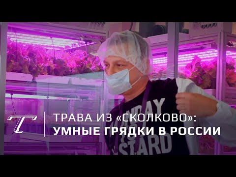 Обзор | Умные теплицы для России