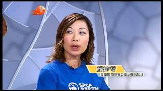 20080529-atv.divx