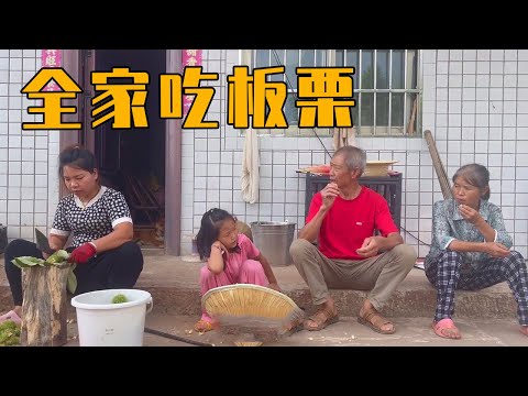 幺幺想吃板栗了，英子立刻去摘，全家坐在院子里边吃边聊【农村小英子】