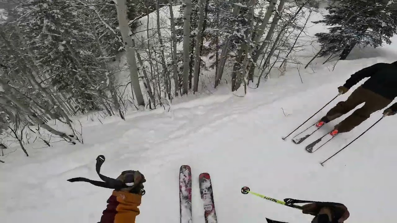 Powder Tree Skiing at Crested Butte Mountain Resort
