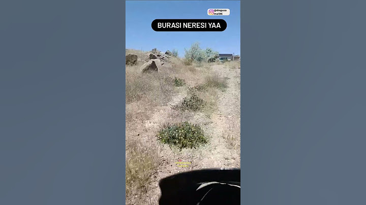 Kurye abimiz sınır dışına paket atıyor 😂