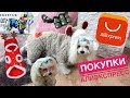 ALIEXPRESS: КАЧЕСТВЕННАЯ ОДЕЖДА ДЛЯ СОБАКИ.