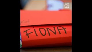 Affaire Fiona: Retour sur les faits