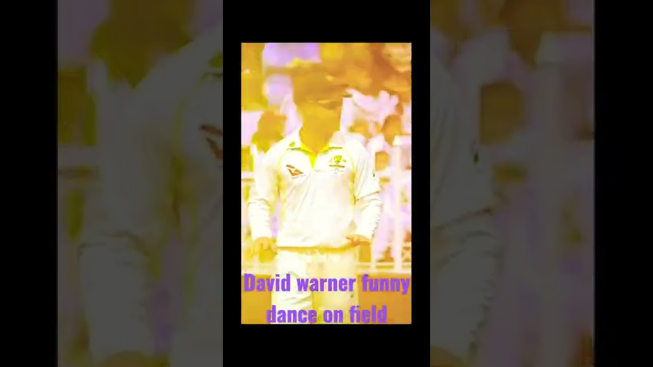 David warner funny dance on the field 