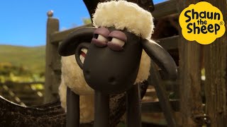 Shaun the Sheep  Farm Adventures!  Cartoons for Kids  Full Episodes Compilation [1 hour]