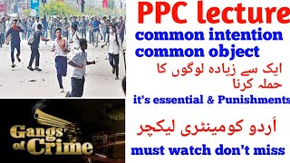 Common object | ppc lecture in urdu hindi| criminal law lecture | #Mubshir_iqbal_chohan