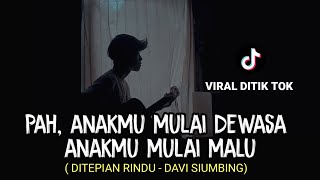 LIRIK LAGU || pah anakmu mulai dewasa (DITEPIAN RINDU - DAVI SIUMBING) tik tok cover agusriansyah