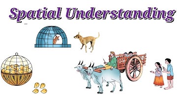1st Standard Maths // Spatial Understanding