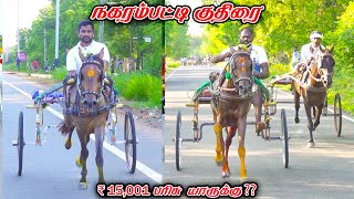 நகரம்பட்டி குதிரை பந்தயம் 02.11.2025_V_Photography