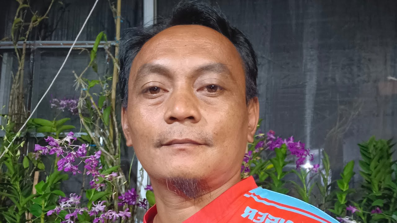 Anggrek Jadulan koleksi