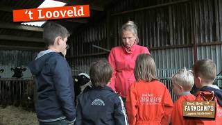 Vakantiefilm Farmcamps T Looveld