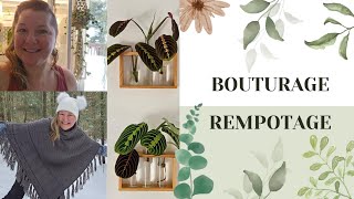Bouturage & Rempotage