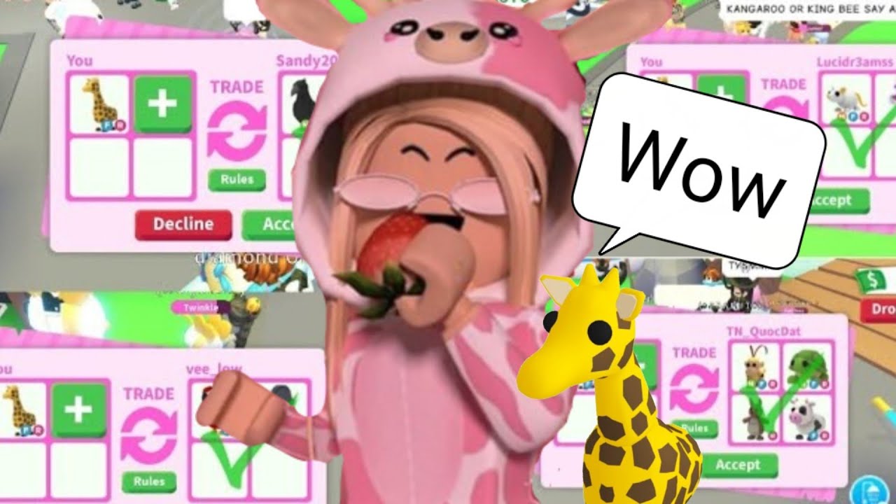 Looking offer for my giraffeo YouTube