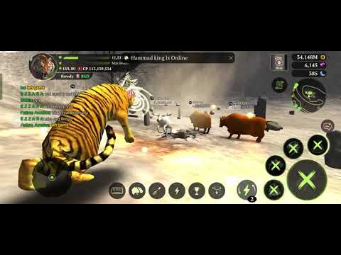 The Tiger Game - kill Bison Champion & quests #a2ygs #thetiger 
