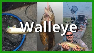 Fishing/ Catch Walleye With A Kayak, Trolling With Crawler Harness And...