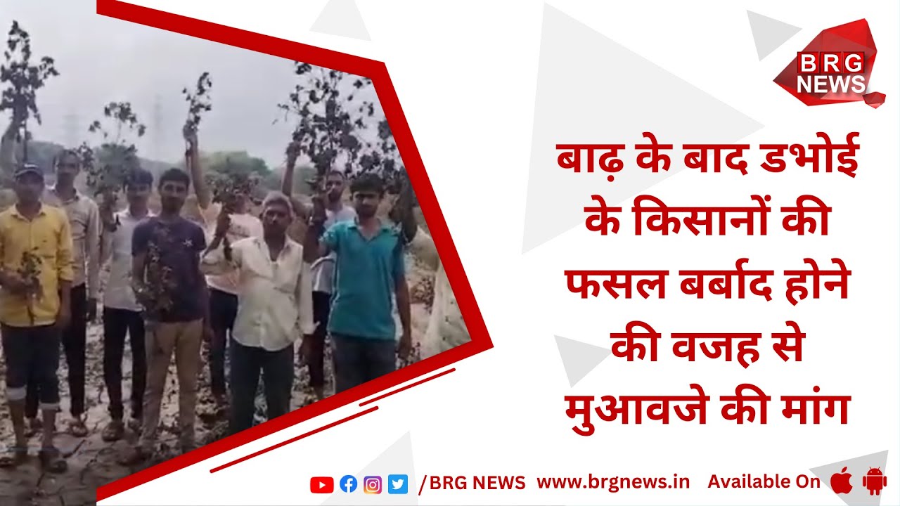 Dabhoi farmers demand compensation due to crop loss after flood - YouTube