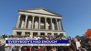 Protestors fill TN Capitol to demand tighter gun laws