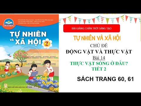 Video Tự nhiên và xã hội lớp 2 | Bài Thực vật sống ở đâu... - youtube