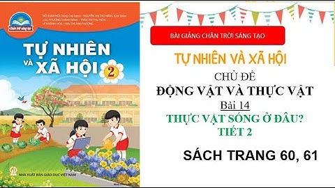 Tự nhiên và xã hội lớp 2 | Bài Thực vật sống ở đâu Tiết 2 |  Bài giảng chân trời sáng tạo