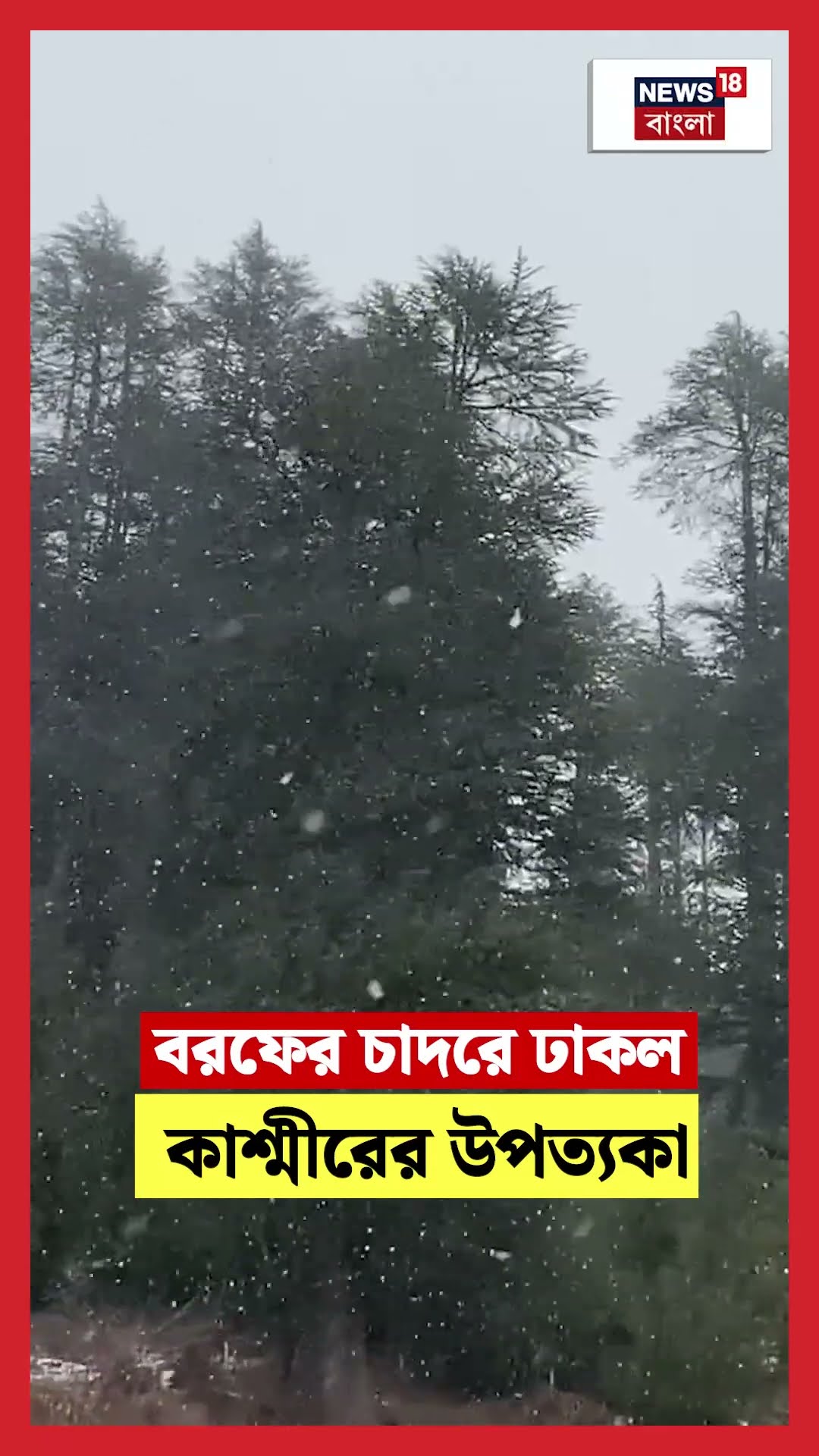 বরফের চাদরে ঢাকল Kashmir এর উপত্যকা, চোখ জুড়ানো দৃশ্য  | N18S #shorts