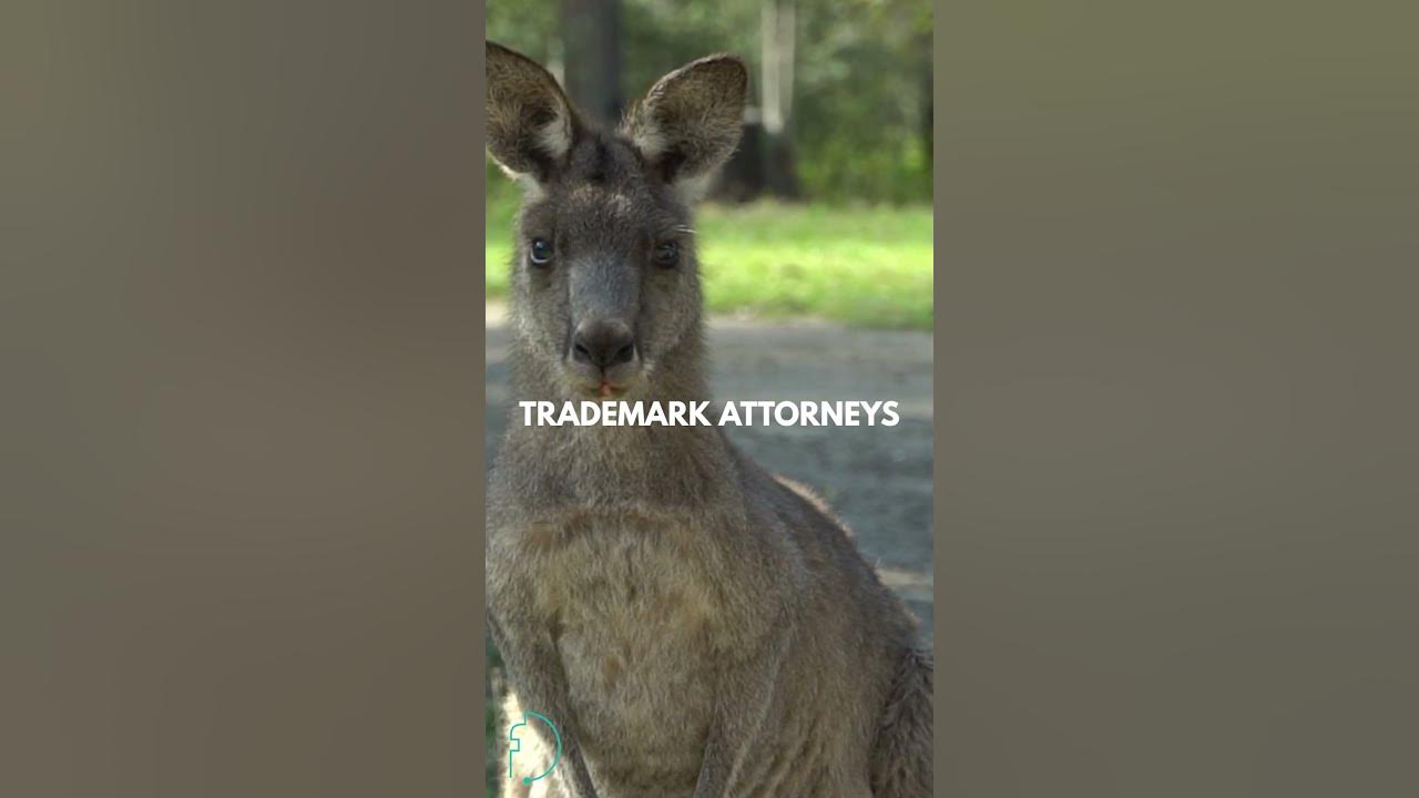 australia-patent-attorney-jobs-and-trademark-attorney-jobs-youtube