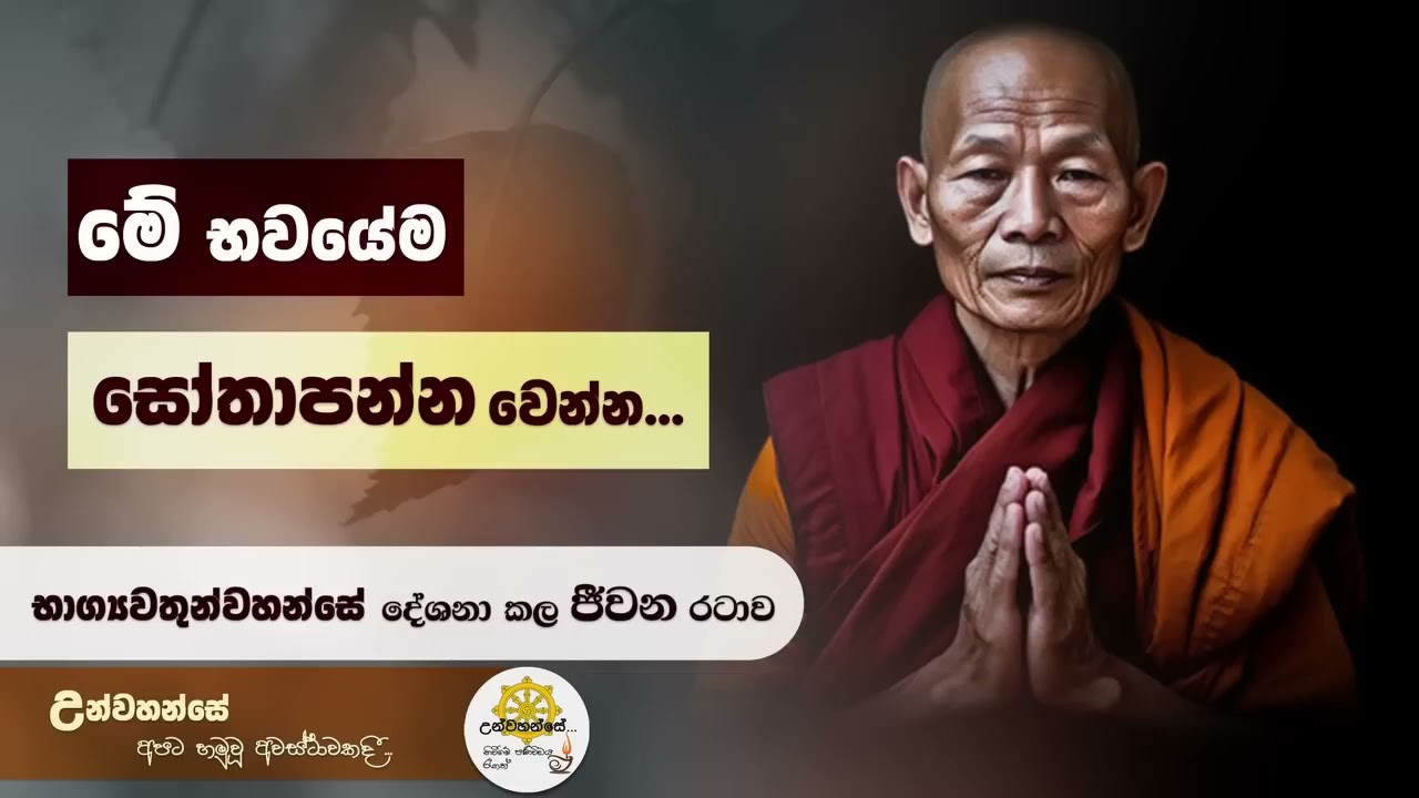 මේ ලක්ෂණ තියෙනවානම් ඔබ මේ භවයේම සෝතාපන්න වෙනවා | Niwan Dakimu