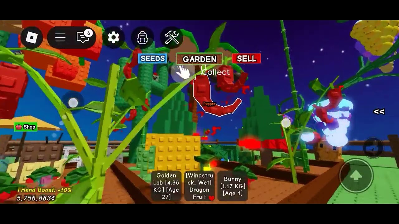 this blueberry cost ¢10000 in grow a garden