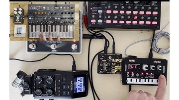 Bastl Kastle Drum, Korg SQ-1, NTS-1, EHX Oceans 11 & Superego, Arturia Microfreak.