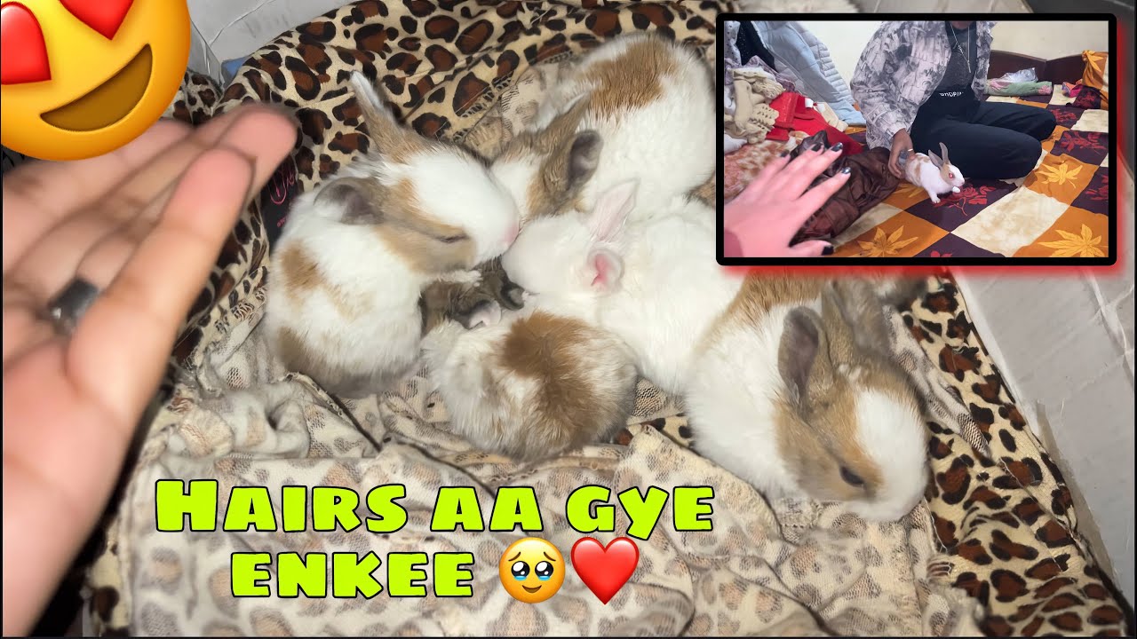 2 Bchche Donate Krdiye😭 || Bhot Yaad Aati H🫶🏻❤️😭