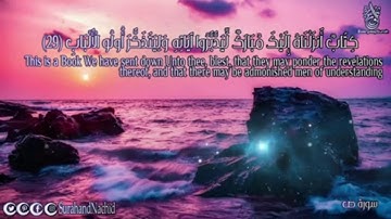 سورة ص للقارئ ياسر الزيلعي