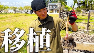 【衝撃】まさかの所でウド発見!ウドの生命力が凄すぎた! #419