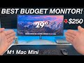 BEST Budget Monitor for M1 Mac Mini under $250 | 29” LG 29WN600-W 21:9 UltraWide 🤯