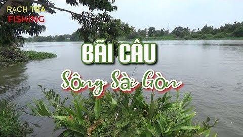 BÃI CÂU CÁ TRA SÔNG SÀI GÒN - RẠCH TRA