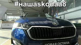 Skoda A8 Глупейшие форумы!!! 🤦‍♂️ Опять про Масло 502; 504; 508; 511 ?! 😉 (2021)