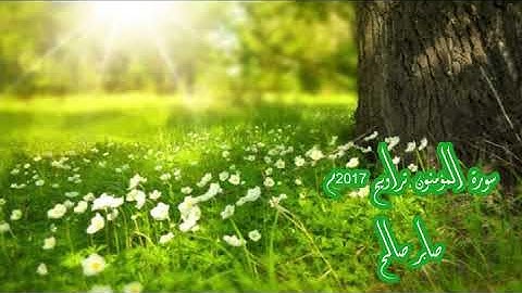 سورة المؤمنون تراويح 2017_ صابر صالح