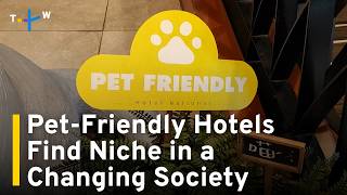 The Rise of Taiwan's Pet-Friendly Hotels | TaiwanPlus News