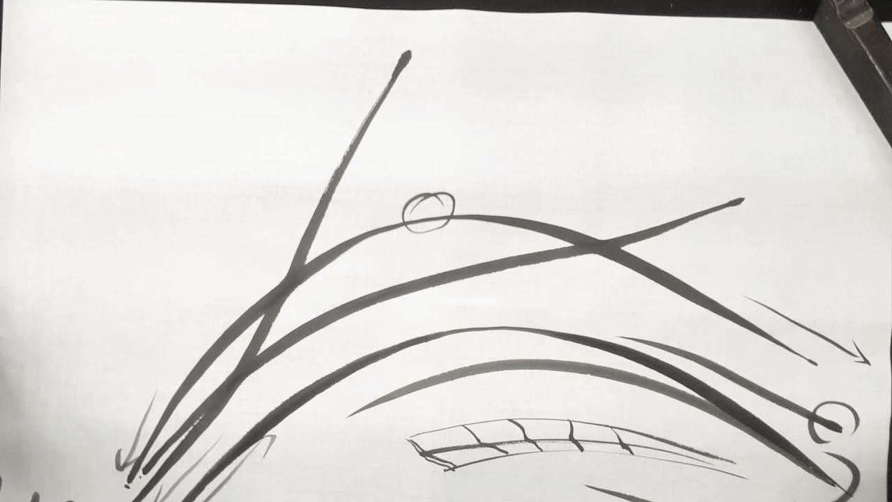 2019-017 난초 기본선(線)