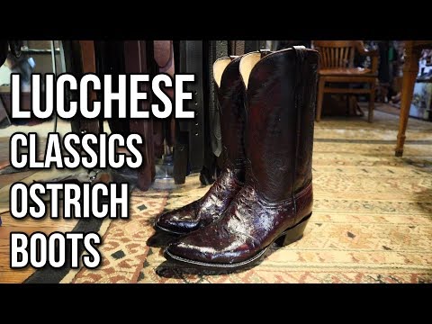 BEAUTIFUL Black Cherry Lucchese Ostrich Boots!