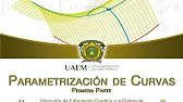 Quem foi desenvolvedor das ideias da geometria diferencial?
