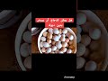 هل يمكن أن يبيض الدجاج بدون ديك#دجاج #حيوانات #اكسبلور #chicken #البط #طيور #birds
