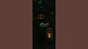 تلاوة تقشعر لها الابدان بصوت جميل🎧🤎 #quranexplorer #islamicscripture #beautiful