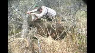 Brown Bear Hunt on Kodiak Island