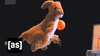 Slam Dunk | Robot Chicken | Adult Swim