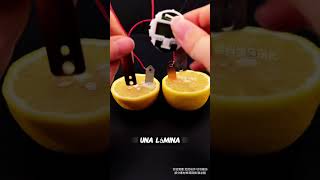 6 Science Experiments That Will Surprise You 
