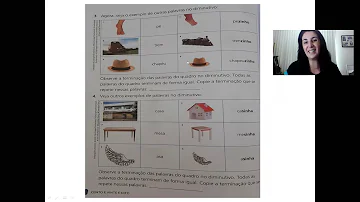 O que podemos concluir sobre a escrita dos diminutivos das palavras que já tem s?