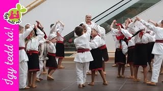 Így Tedd Rá ,,Tündérborsó, Csillagkapu