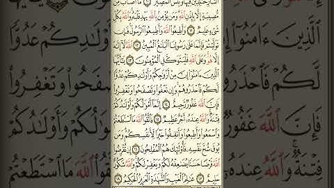 @آيات مباركة من سورة( التغابن )اخي الفاضل تفكر بها من الآية الكريمة (٩-١٨)