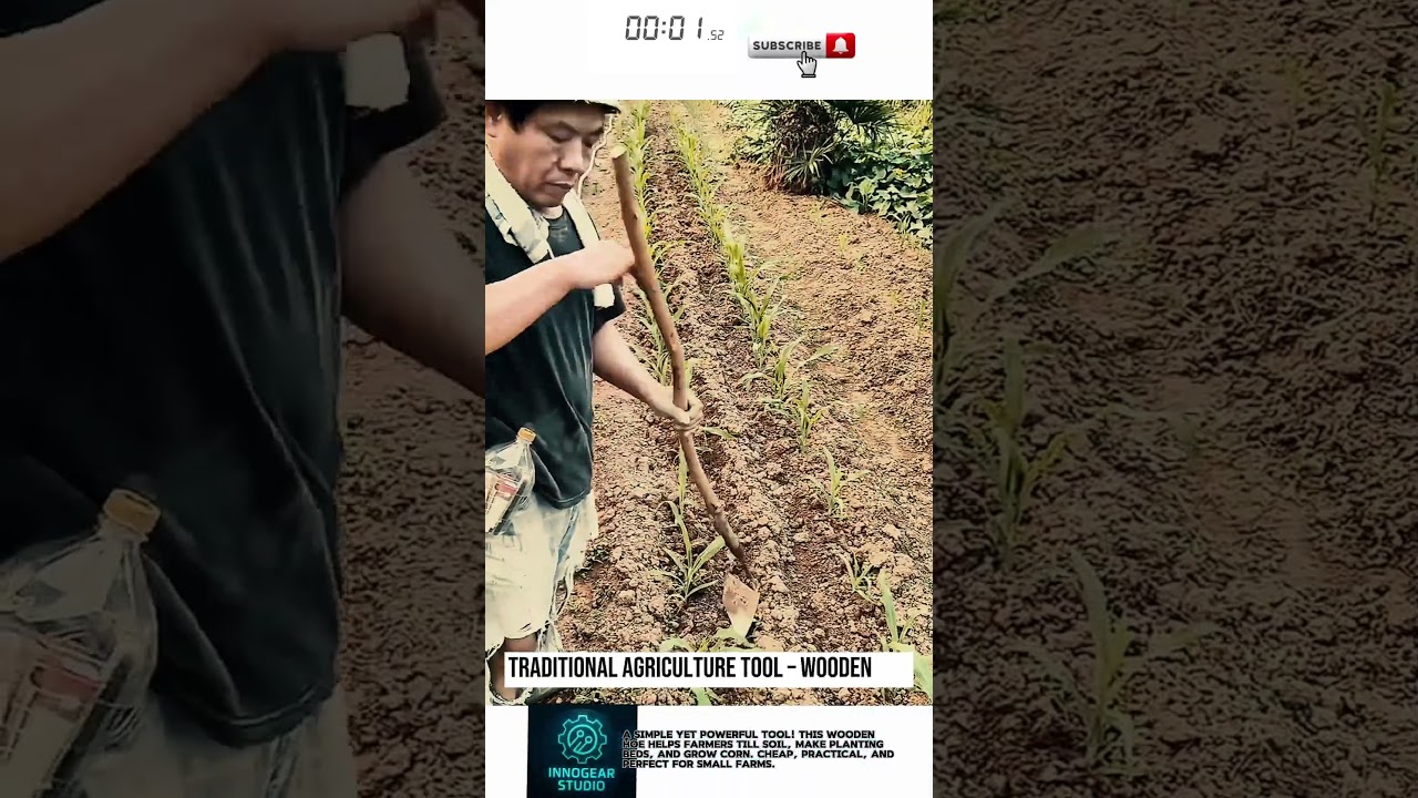 Traditional Agriculture Tool – Wooden Hoe