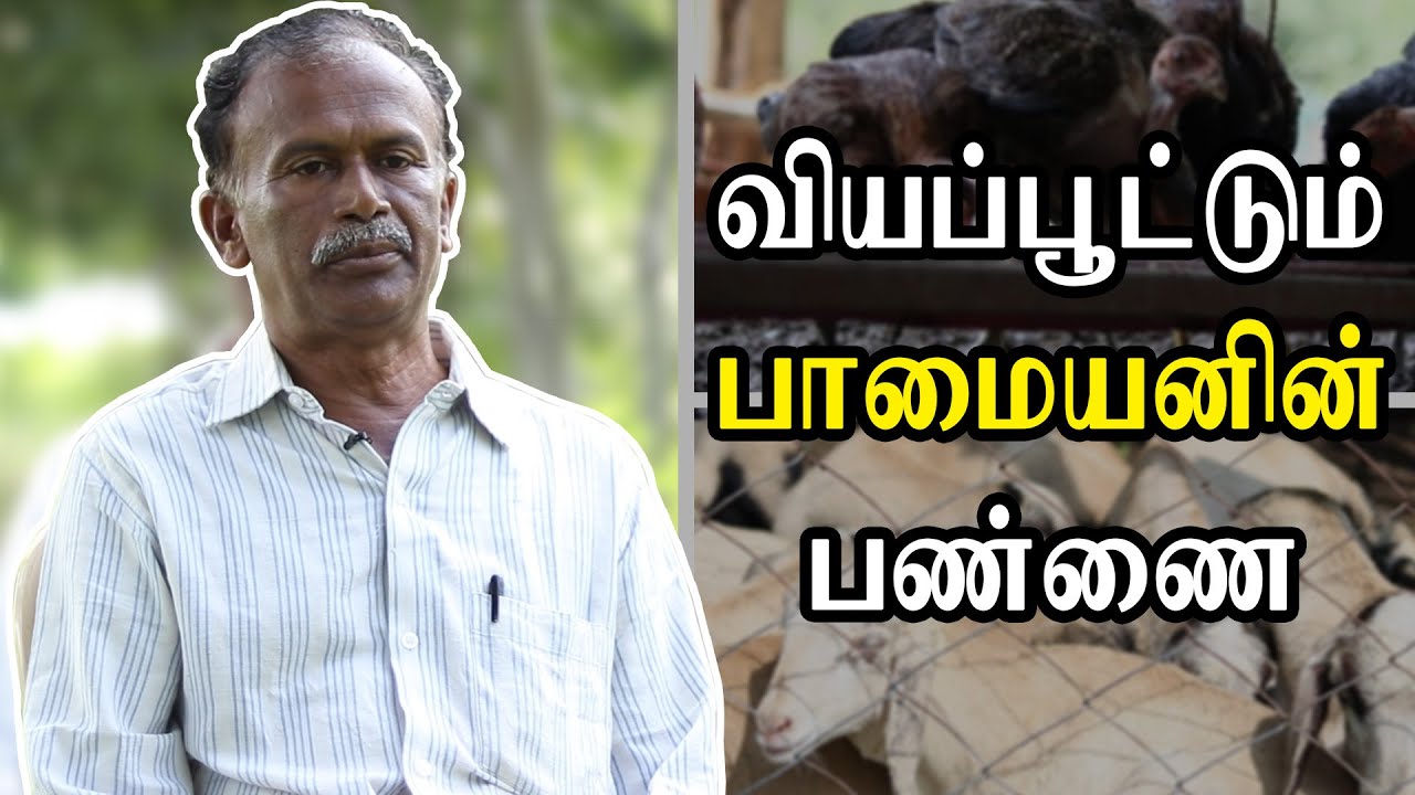 சீமகருவேல காட்டை பசுமை ஆக்கிய  கதை | பாமயன் success story