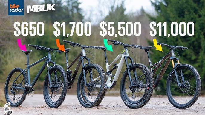 How Much Does It Cost to Build a Mountain Bike: A Complete Guide